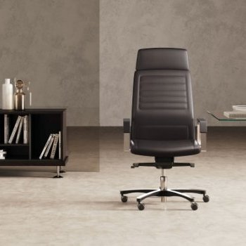Acheter Collection LEO : Fauteuils de Direction