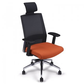 Acheter BASIL Fauteuil de Direction