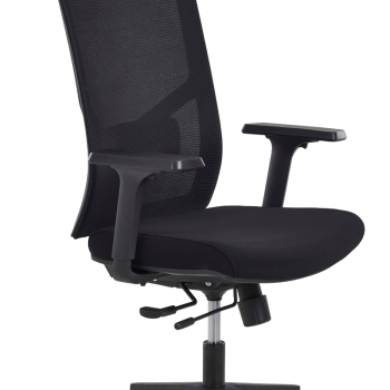 Acheter ZAN Fauteuil de Direction