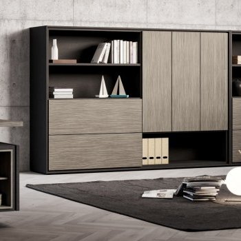 Acheter FINE Armoire de bureau