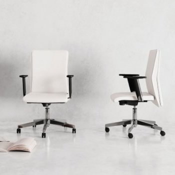 Acheter Collection HERA : Fauteuil Manager