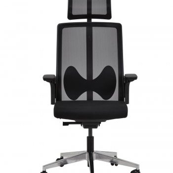 Acheter PAP Fauteuil de Direction
