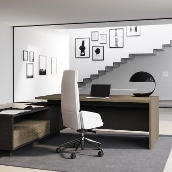 Acheter FINE Bureau de Direction