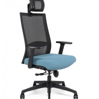 Acheter ASSA Fauteuil de direction