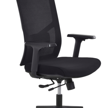 Acheter ZAN Fauteuil de Direction